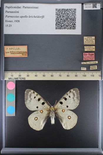 Media type: image;   Entomology 210419